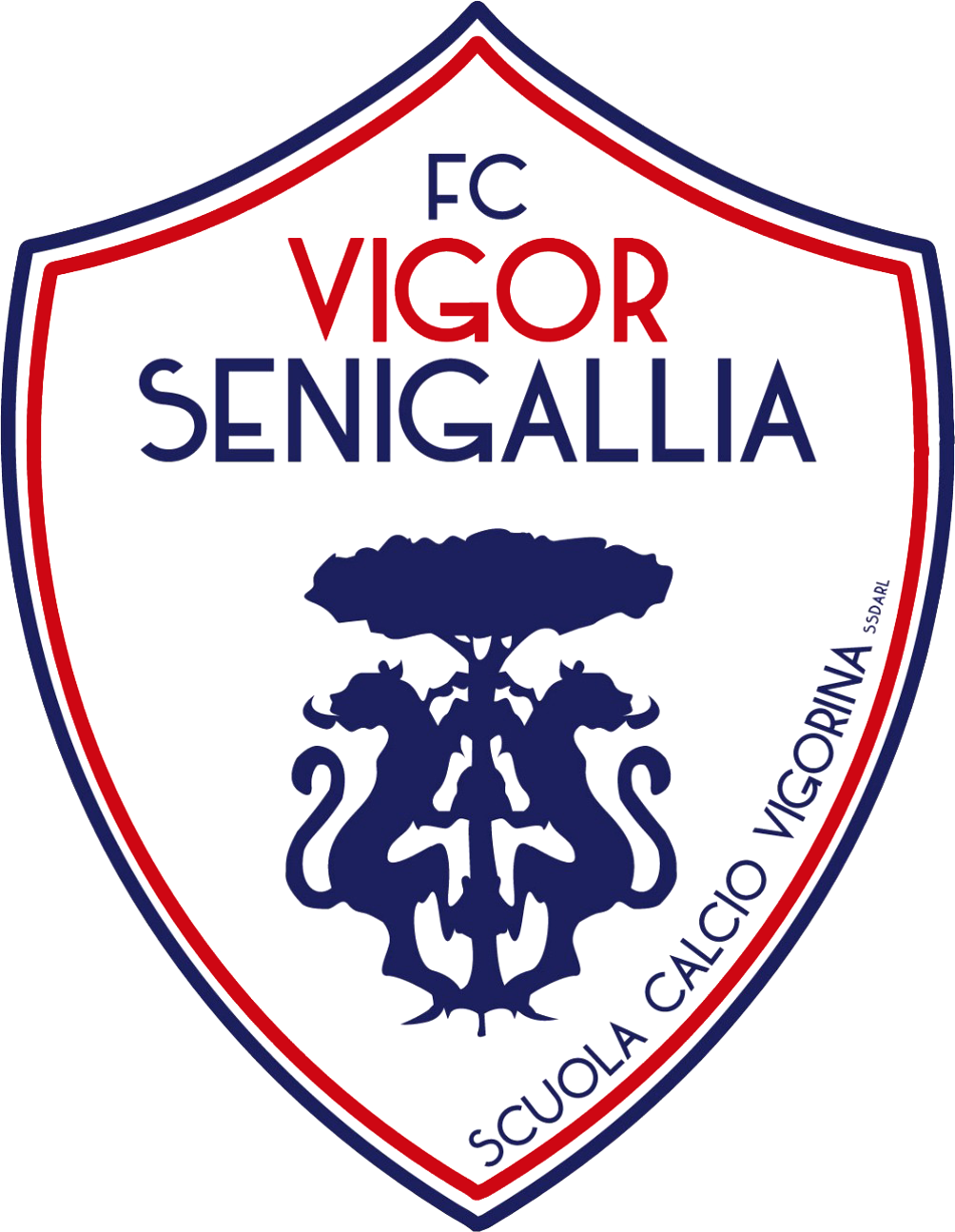 Vigor Senigallia